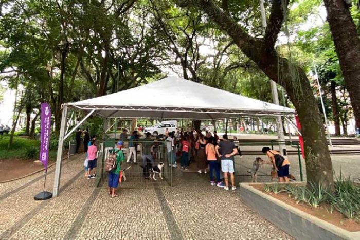 Evento de adoção do Canil Municipal acontece neste sábado 1 adoção