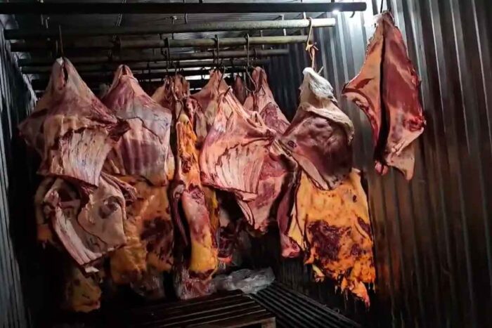 Empresa de Três Rios revendia carne que ficou submersa durante enchentes no Rio Grande do Sul 1 carne tres rios