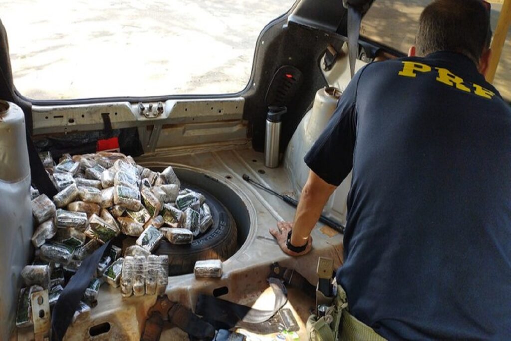 PRF apreende 185 tabletes de 'maconha dos playboys' em rodovia mineira 3 prf maconha dos playboys dry foto prf dest