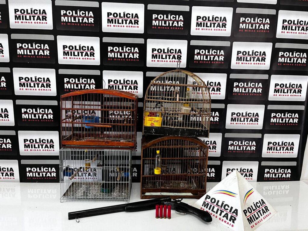 Homem é preso em flagrante por porte de arma de fogo e cativeiro de animais silvestres 2 prisao carlos alves sao joao