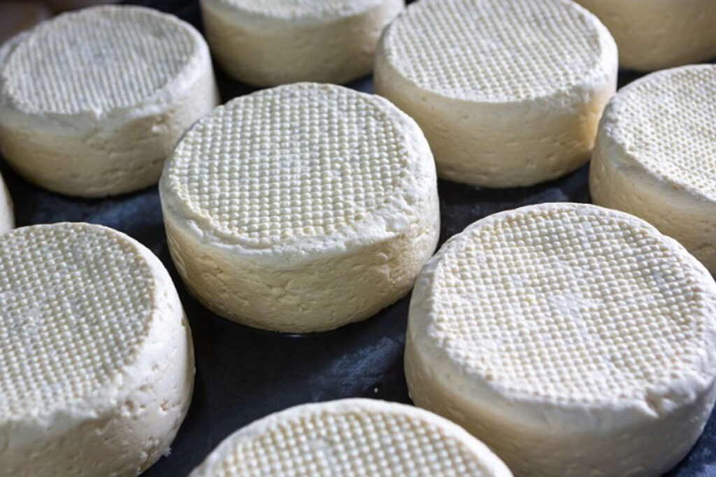 queijo documentário