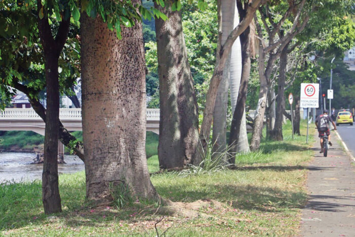 Prefeitura envia projeto para pleitear empréstimo de R$ 660 milhões junto ao BNDES 3 FALTA CICLOVIA LEONARDO COSTA