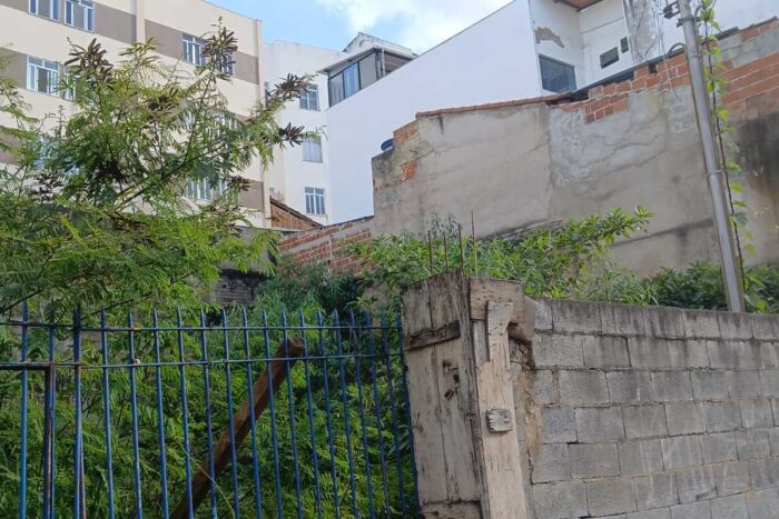 VU PAINEIRAS CONTRIBUICAO DO LEITOR