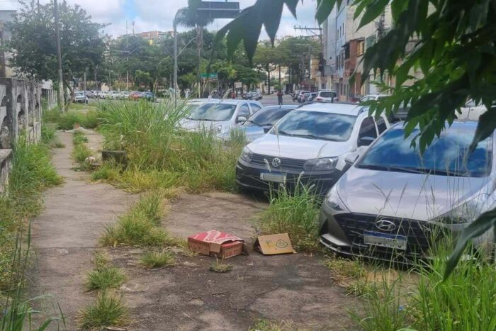 Mato alto e lixo tomam conta de calçada na Rua Mariano Procópio 1 VU Rua Mariano Procopio