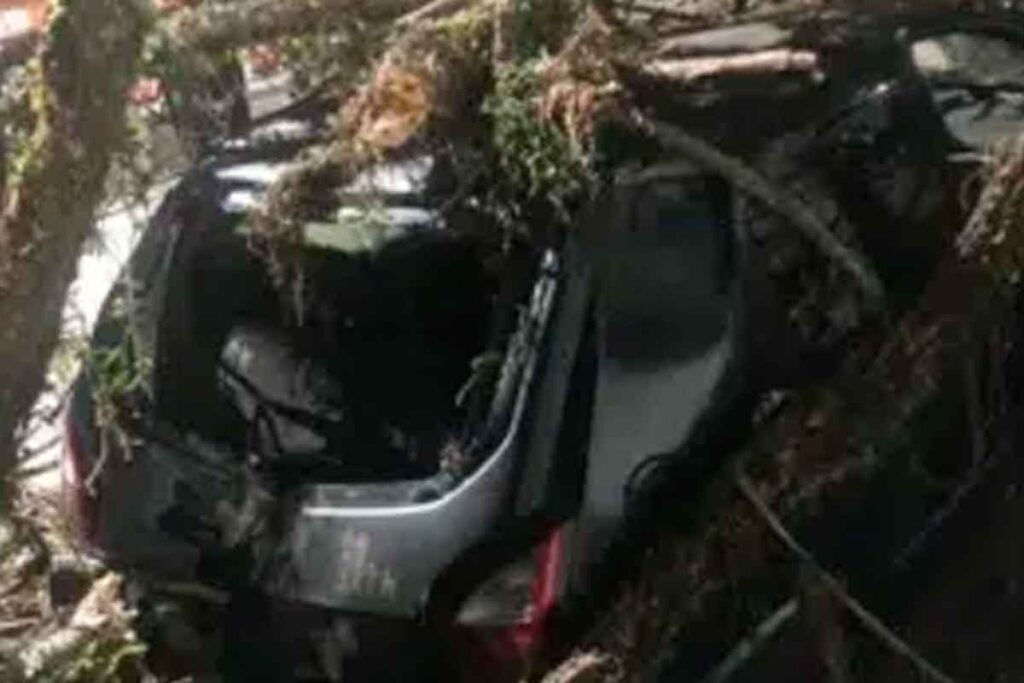Homem será indenizado pelo município após vendaval derrubar árvore no seu carro 1 carro atingido por arvore via consultor juridico