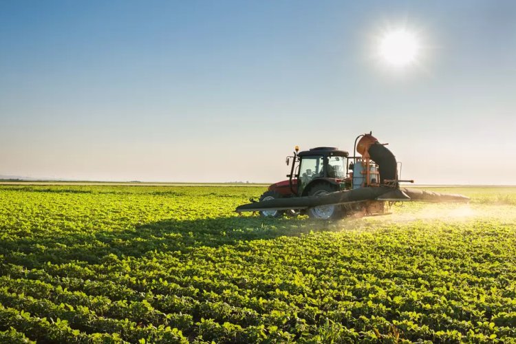 Agro supera mineração e lidera exportações do estado 1 image 750x500 67bcfb700ce32 MYpDG0