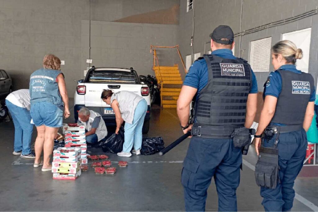 Operação Comércio Legal: mais de 600 materiais irregulares são apreendidos pela fiscalização 1 operacao comercio ilegal by divulgacao editada
