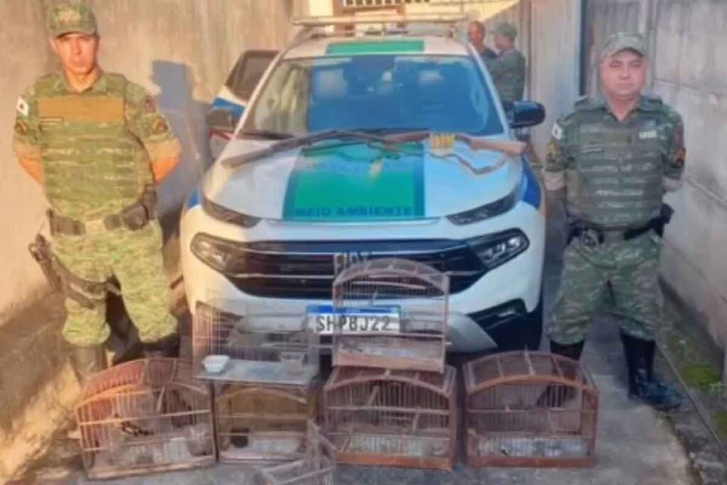 Homem é preso e multado em R$16 mil por manter 7 pássaros silvestres em cativeiro 1 passaros pmma
