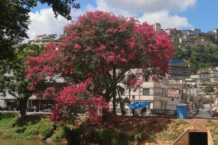 Saiba como fica o tempo no carnaval em Juiz de Fora 1 Saiba como fica o tempo no carnaval em Juiz de Fora