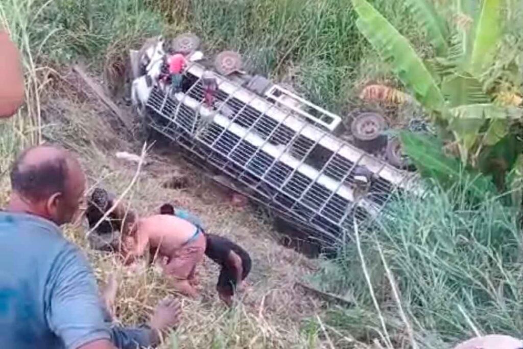 VÍDEO: Caminhão com quase 130 porcos cai em abismo de 15 metros 2 CAMINHAO PORCOS PMR