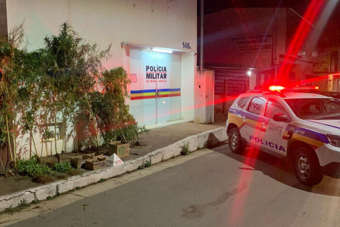 Homem é preso com quase 130 pés de maconha no Campo das Vertentes