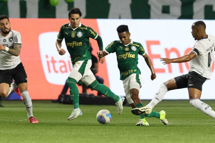 palmeiras botafogo by cesar greco palmeiras editada
