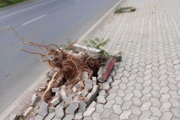 Calçada danificada preocupa pedestres na Avenida Brasil 1 Calcada danificada preocupa pedestres na Avenida Brasil