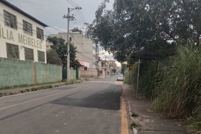 Matagal na Avenida Dr. Bezerra de Menezes gera riscos no Nova Era 1 Matagal na Avenida Dr. Bezerra de Menezes gera riscos no Bairro Nova Era