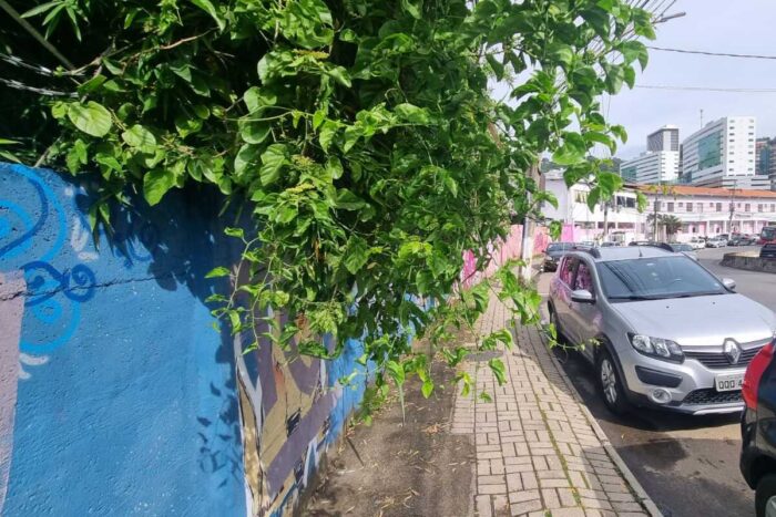 Calçada irregular e mato alto oferecem riscos a pedestres na Avenida Itamar Franco 1 VU Calcada irregular e mato alto oferecem riscos a pedestres na Avenida Itamar Franco Leo