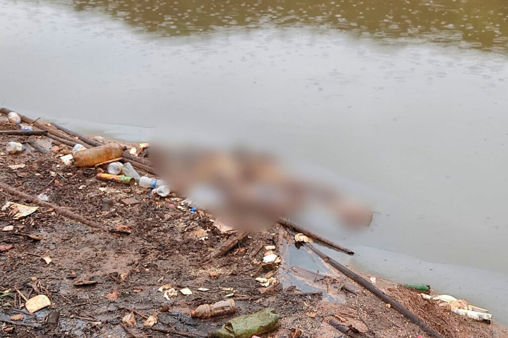 Corpo em estado avançado de decomposição é encontrado em Juiz de Fora