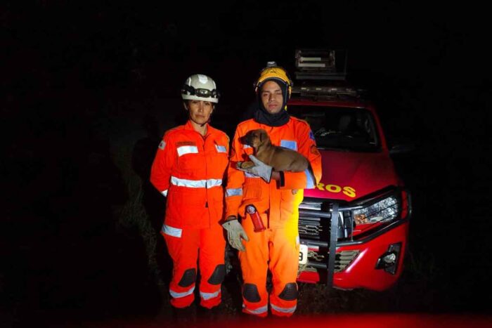 filhote bombeiros