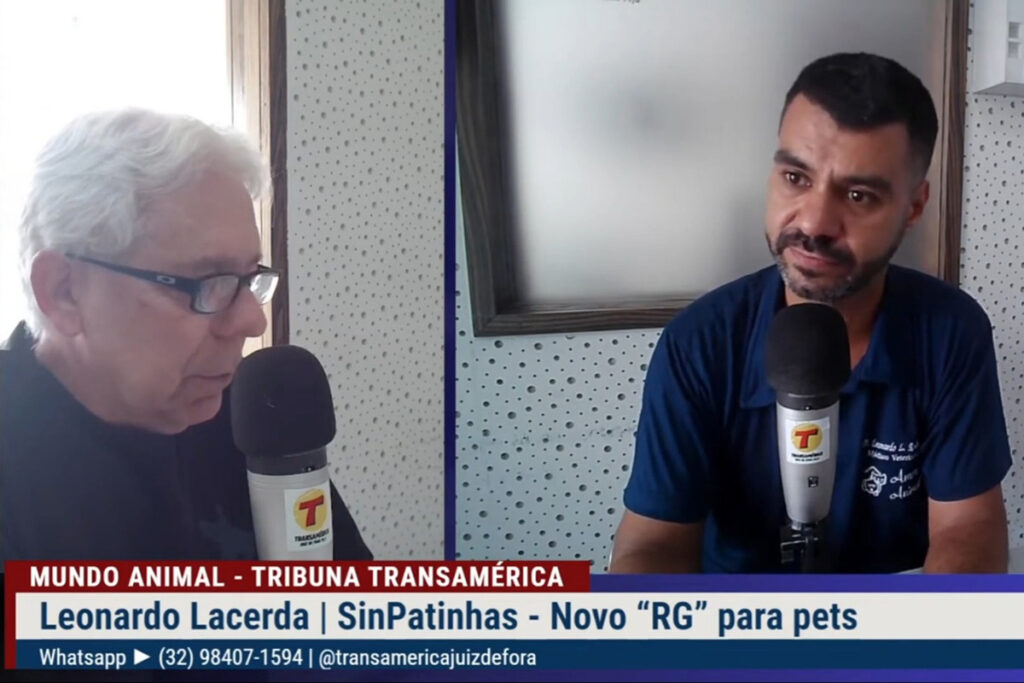 RG para pets: veterinário explica como aderir e importância do cadastro