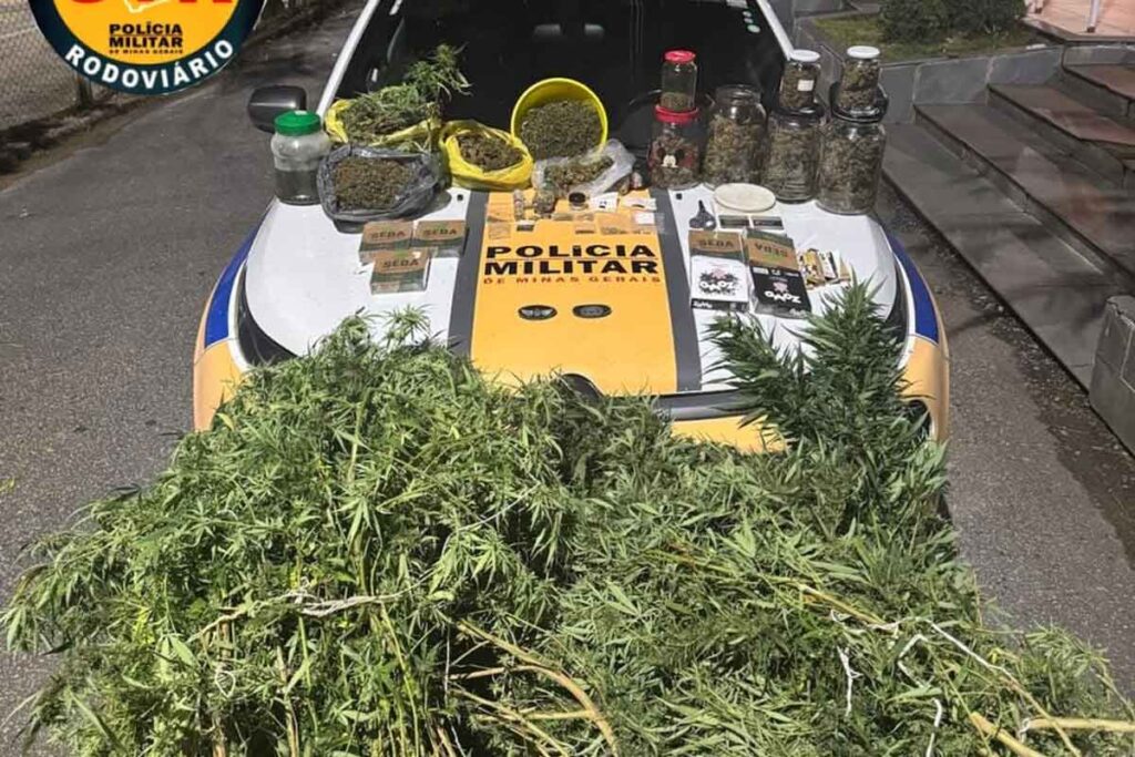 Homem é preso por manter laboratório de drogas e plantação de maconha em casa 1 pmmg