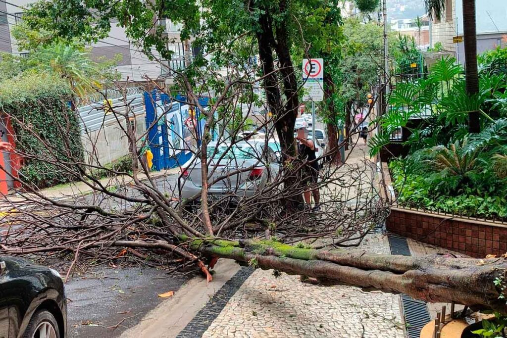 Com ventos de quase 100 km/h, chuva forte com queda de granizo causa estragos em Juiz de Fora 3 queda arvore santa helena by colaboracao leitor editada