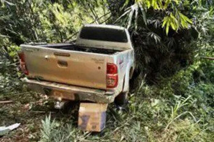 Caminhonete sai da pista na MGC-120 e cai em ribanceira de 50 metros 1 Leopoldina caminhonete ribanceira foto bombeiros