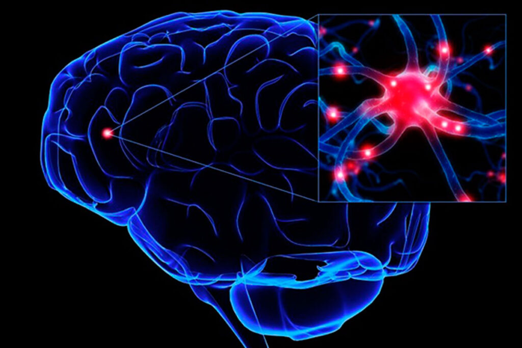 Veja os prós e contras do novo medicamento para Alzheimer aprovado pela Anvisa 1 alzheimer httphypescience.com via ufrj