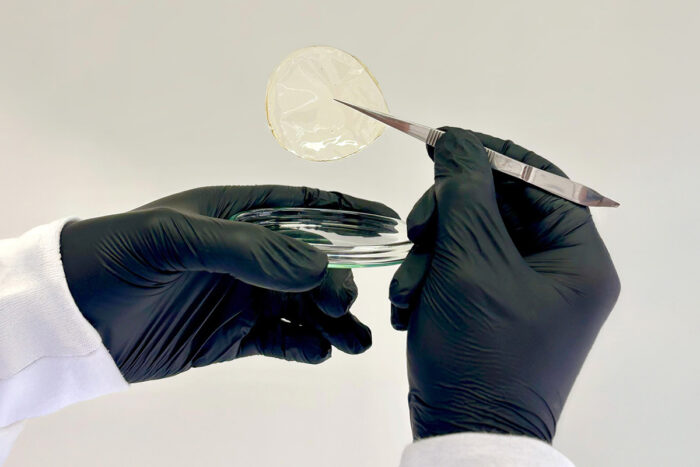 Curativo biodegradável desenvolvido por pesquisadores da UFV ajuda na cicatrização das feridas 1 Pesquisadores da UFV desenvolvem curativo biodegradável