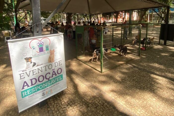 Mais de 900 animais aguardam adoção no Canil Municipal 1 Mais de 900 animais aguardam adoção no Canil Municipal