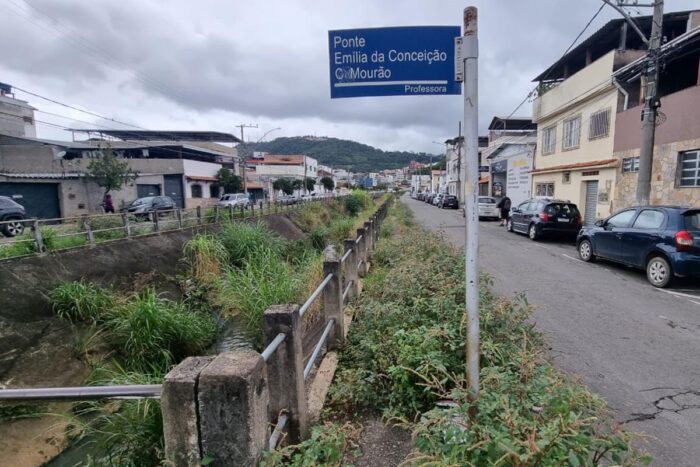 Calçada com mato alto impede passagem de pedestres no Santa Terezinha
