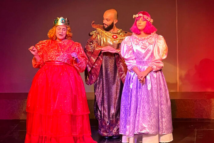 Grupo Divulgação aborda uso de telas e valor da leitura em nova peça infantojuvenil 1 a verdadeira princesa grupo divulgação