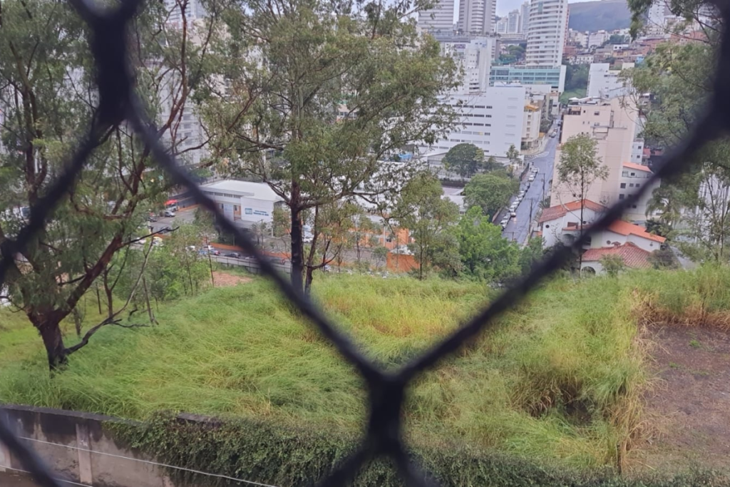 terreno abandonado risco doenças
