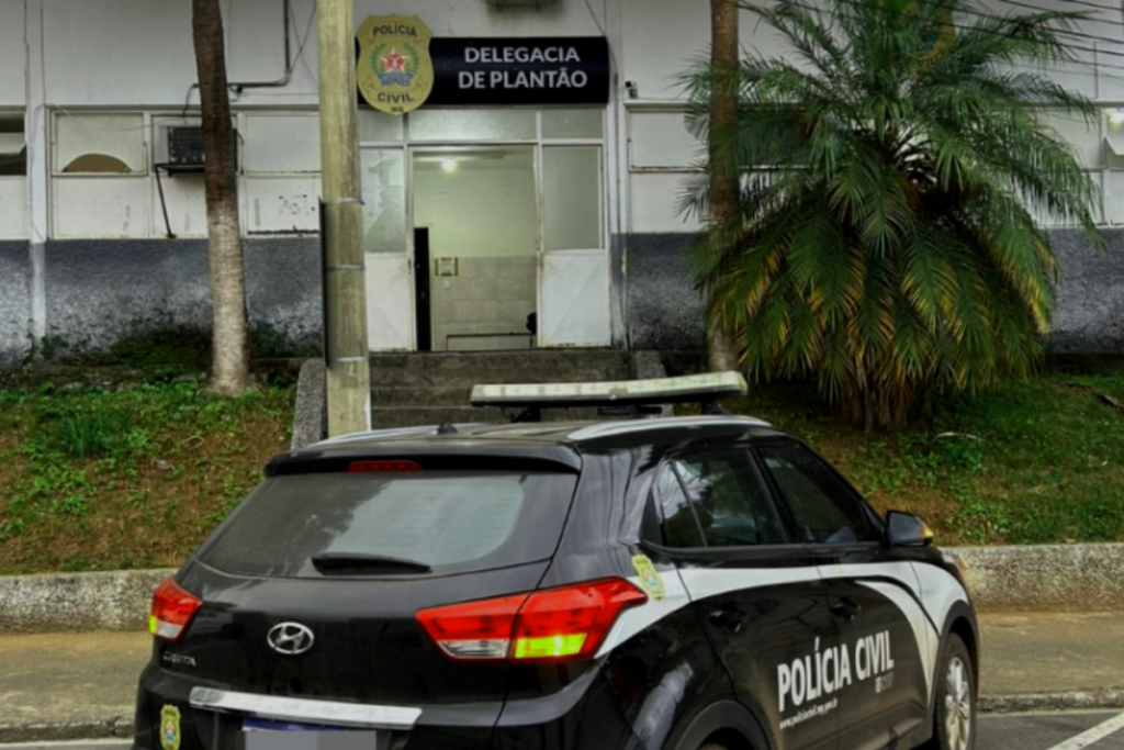 Suspeita de envolvimento em golpe virtual é presa em Juiz de Fora 1 Foto PCMG