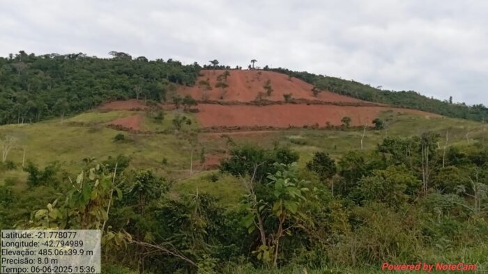 Trio é preso por desmatar área florestal equivalente a mais de 30 campos de futebol 1 hectares