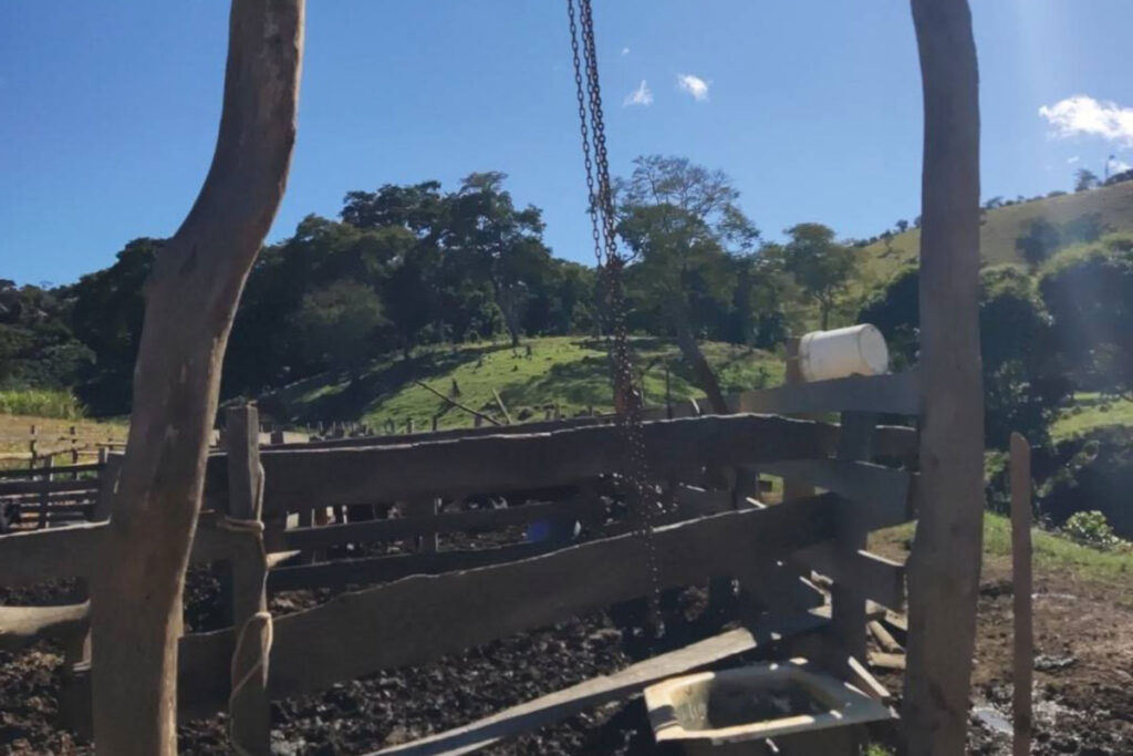 Abatedouro clandestino é fechado em Viçosa 2 abatedouro vicosa foto pmaamb