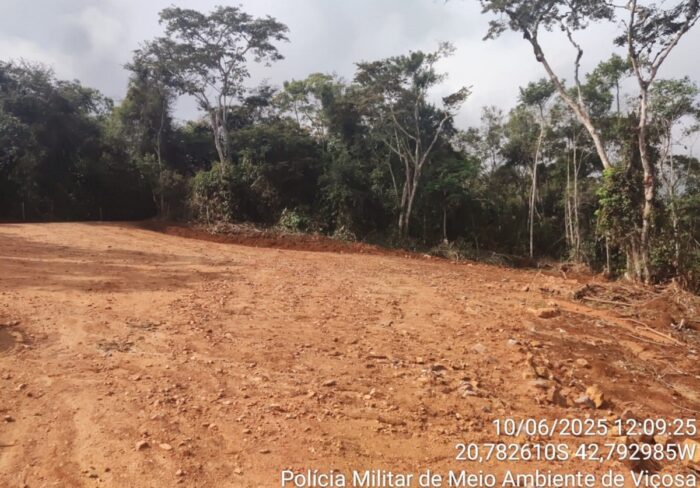 Prefeitura de cidade mineira é multada em mais de R$ 2.700 por desmatamento de vegetação nativa em ponto turístico 1 Prefeitura de cidade mineira é multada em mais de R$ 2.700 por desmatar vegetação nativa em ponto turístico