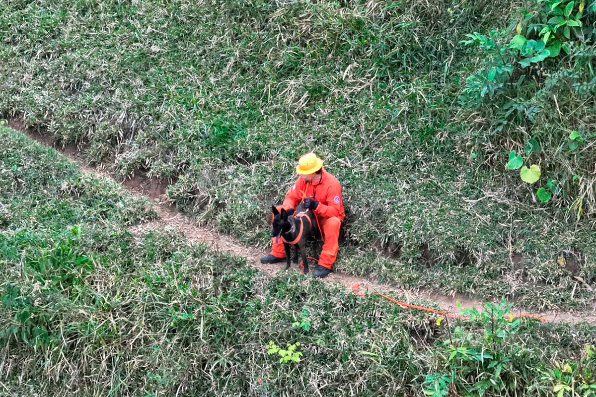 homem-desaparecido-buscas-cão-farejador homem-desaparecido-buscas-cão-farejador