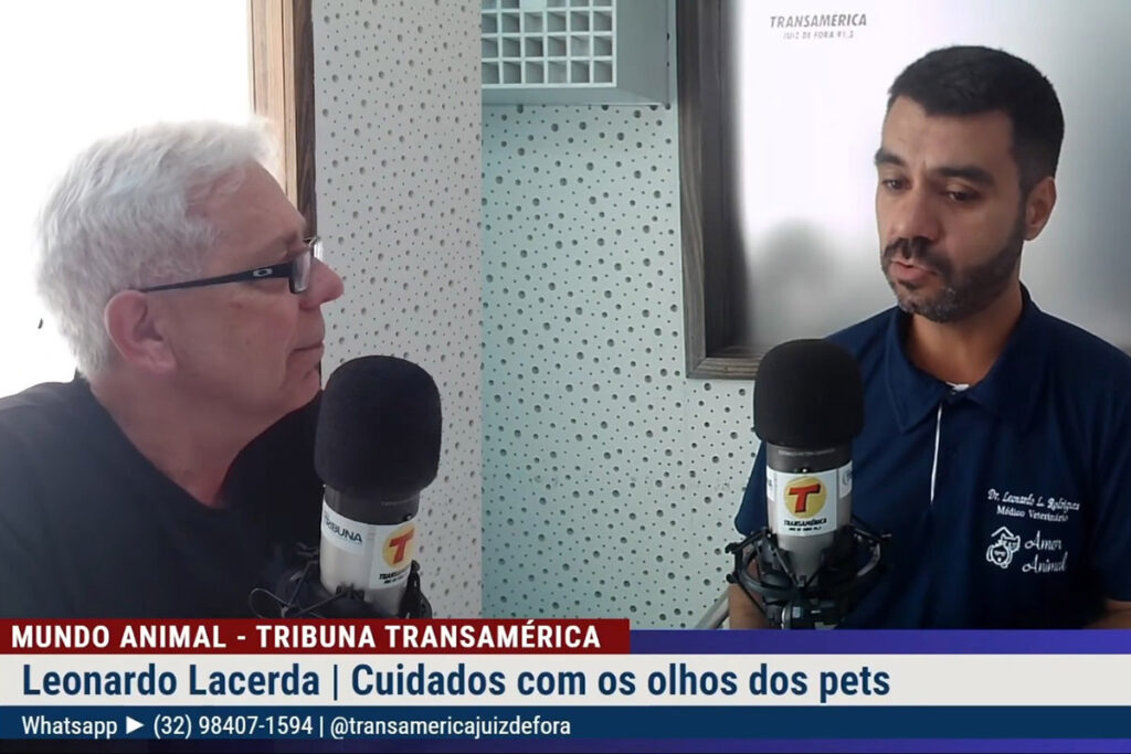 Veterinário traz dicas para saúde dos olhos dos pets 1 Veterinário traz dicas para saúde dos olhos dos pets