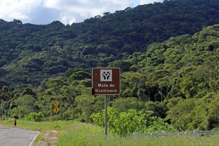 Predominante em JF, Mata Atlântica tem menos de 10% da área total protegida em unidades de conservação 1 Predominante em JF, Mata Atlântica tem menos de 10% da área total protegida em unidades de conservação