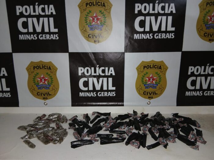 Polícia Civil prende suspeito por furto de éguas de raça na região 2 3e6e781d 3cee 4a62 977b da663273be43