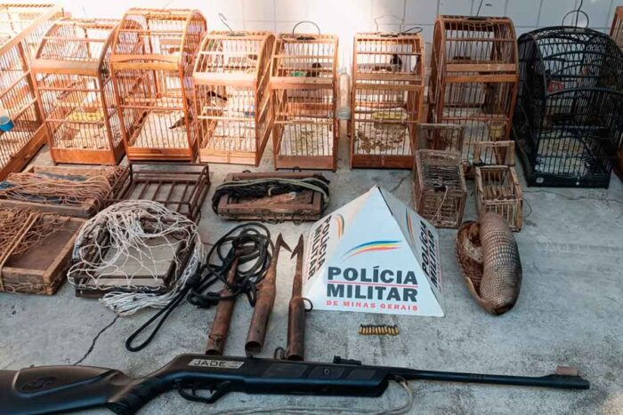 Dupla é presa com 11 pássaros irregulares e casco de tatu 1 Dupla é presa com 11 pássaros irregulares e casco de tatu