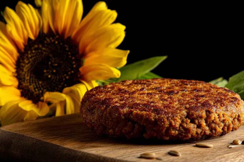 carne vegana farinha de girassol