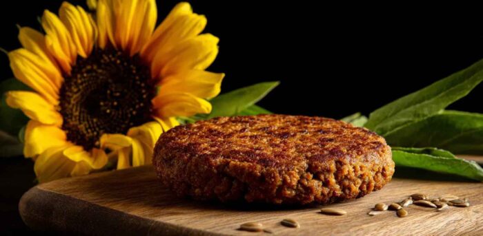 Nova 'carne vegana' com alto teor de proteínas é desenvolvida por pesquisadores 1 carne vegana farinha de girassol imagem reproducao yumda internasite
