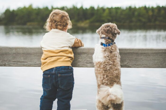 Crianças e pets: saiba como garantir a harmonia entre essa dupla