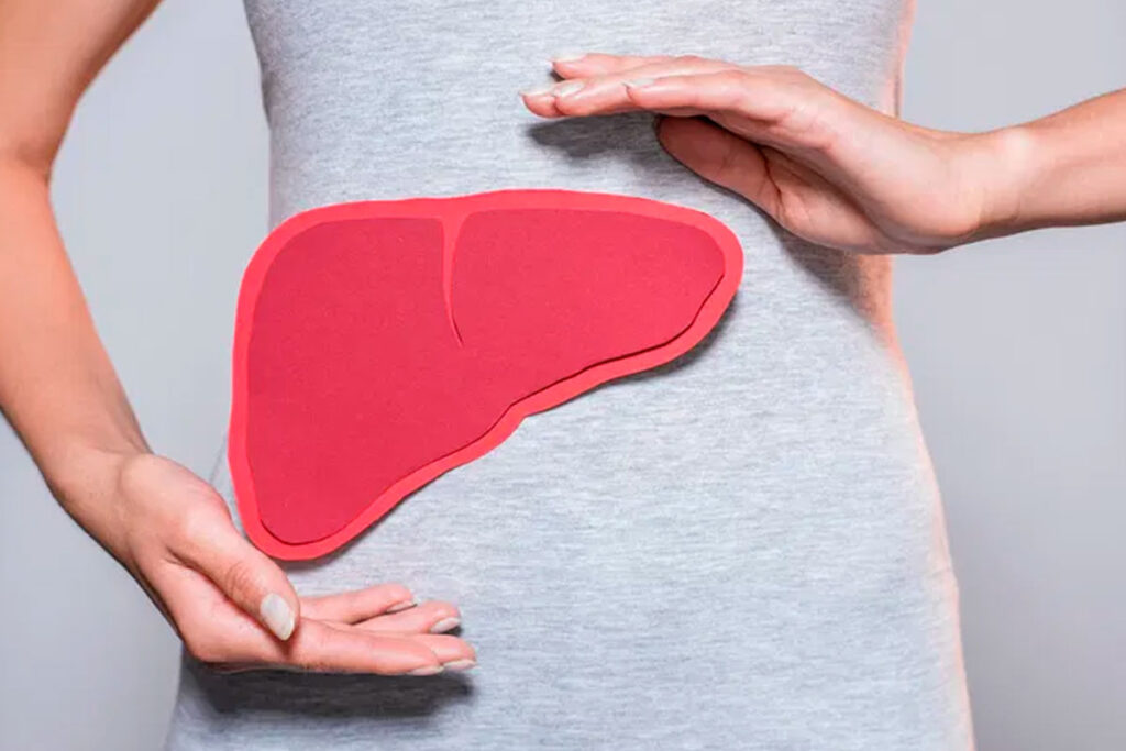 Menopausa pode causar gordura no fígado? 1 tua saude reproducao figado
