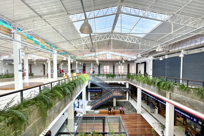 exposição madeira mercado municipal