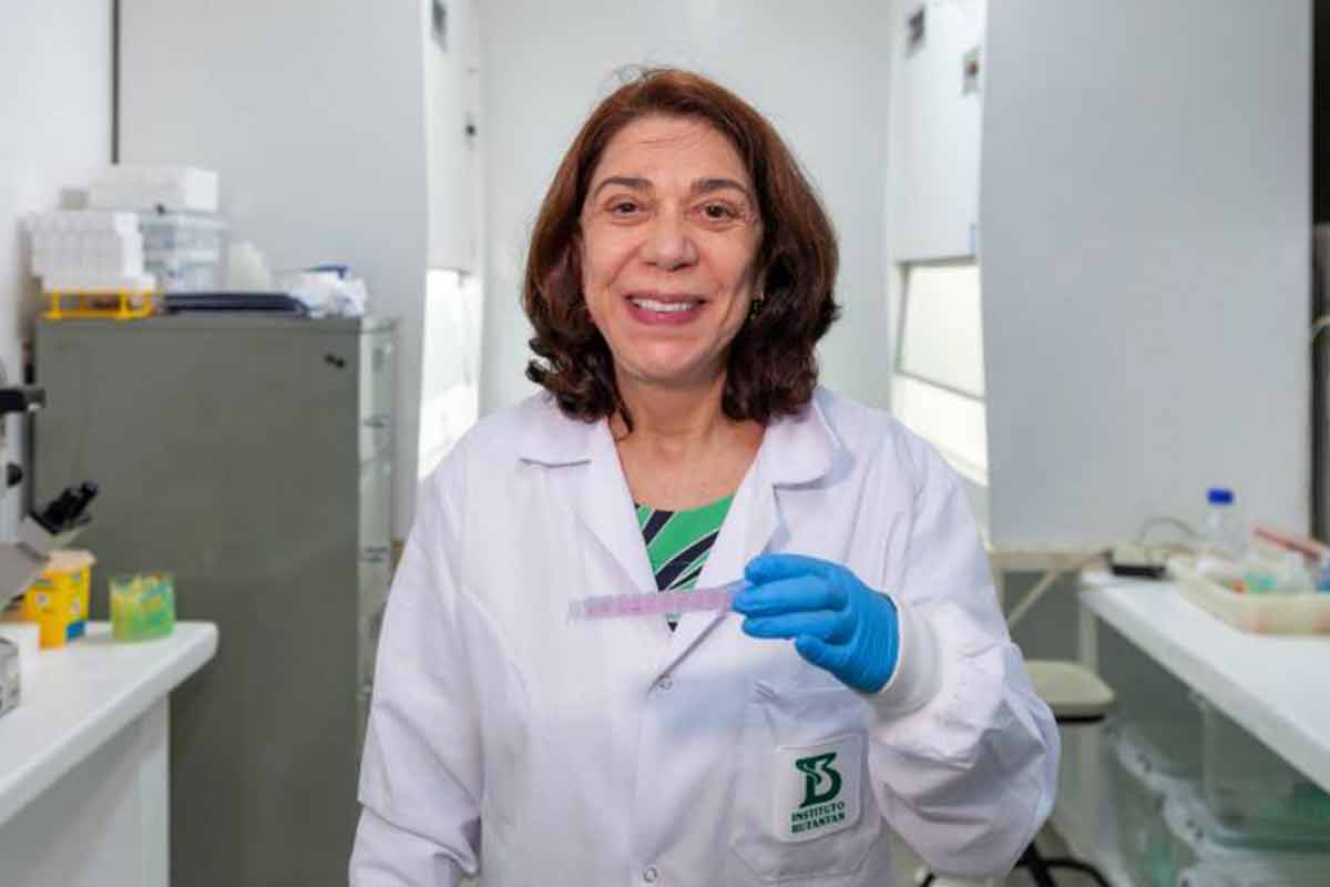 Instituto Butantan testa anticorpo contra zika com foco na proteção de grávidas 2 Instituto Butantan testa anticorpo contra zika com foco na proteção de grávidas