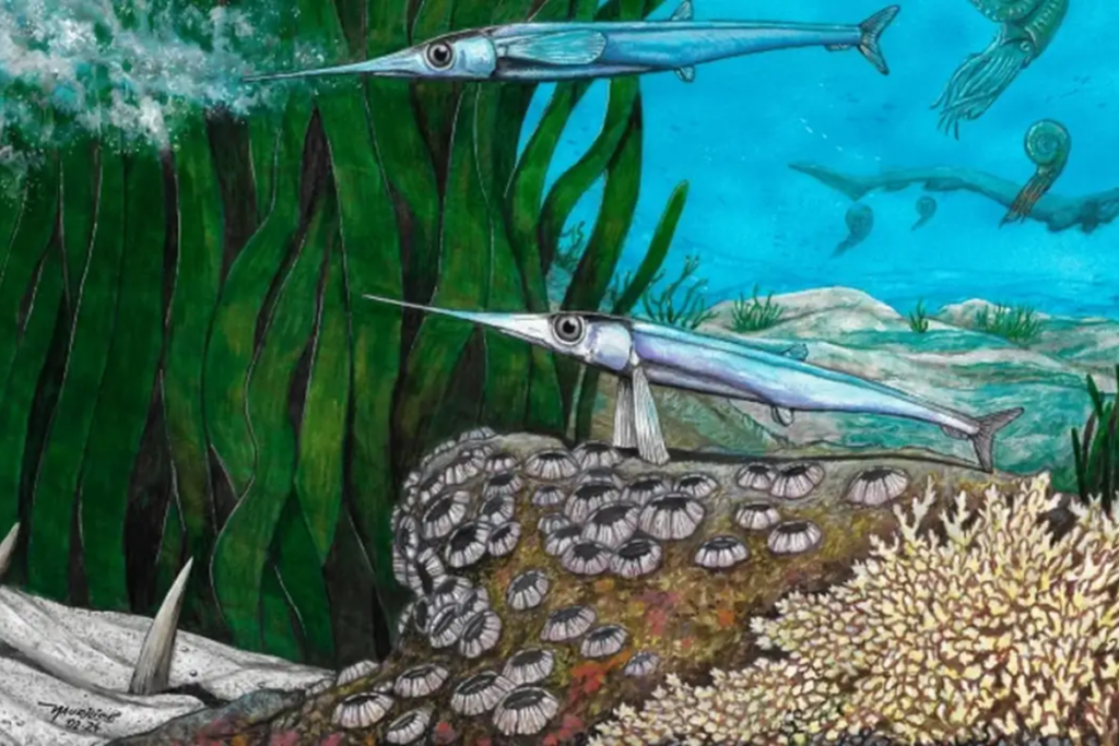 Pesquisadores brasileiros identificam nova espécie de peixe pré-histórico na Antártica 1 Antarctichthys Revista cientifica NatureDivulgacao