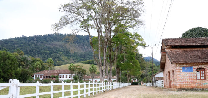 FLORESTA FOTO LEONARDO COSTA 001