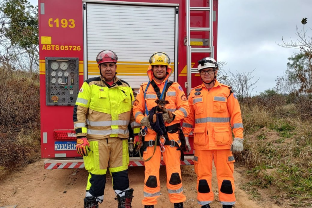 Filhote de cachorro cai em poço de 8 metros e é resgatado pelos Bombeiros 1 Filhote de cachorro e resgatado de poco desativado em Barbacena