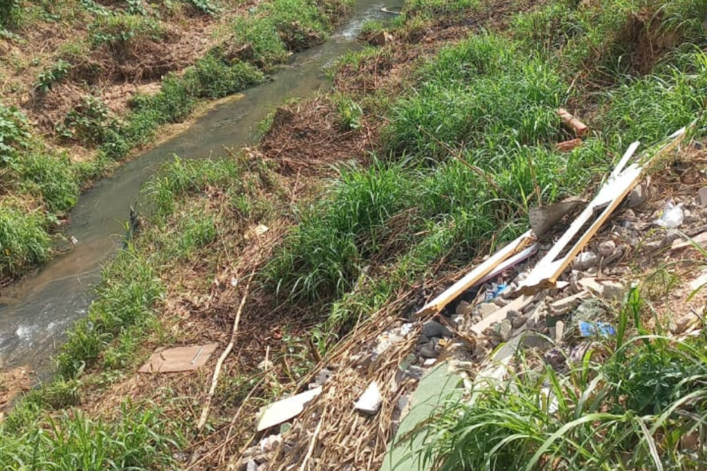 Moradores pedem dragagem em corrego Bairro do Jardim dos Alfineiros